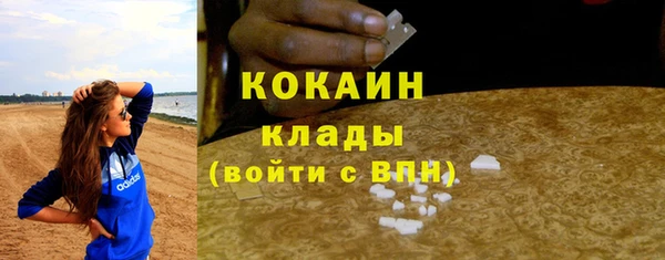 гидра Аркадак