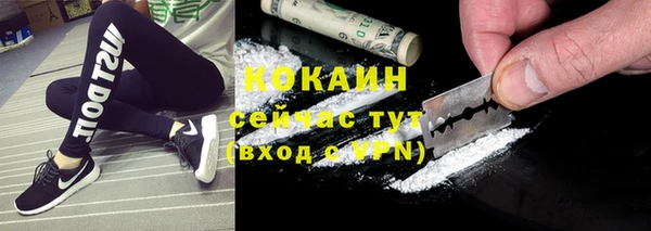 гидра Аркадак