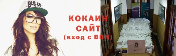 гидра Аркадак