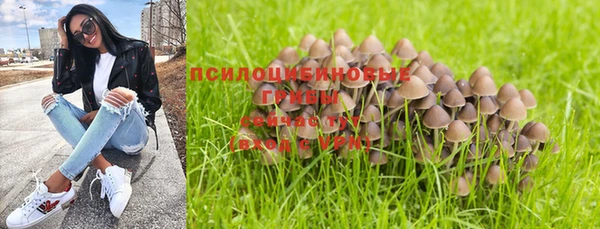 гидра Аркадак