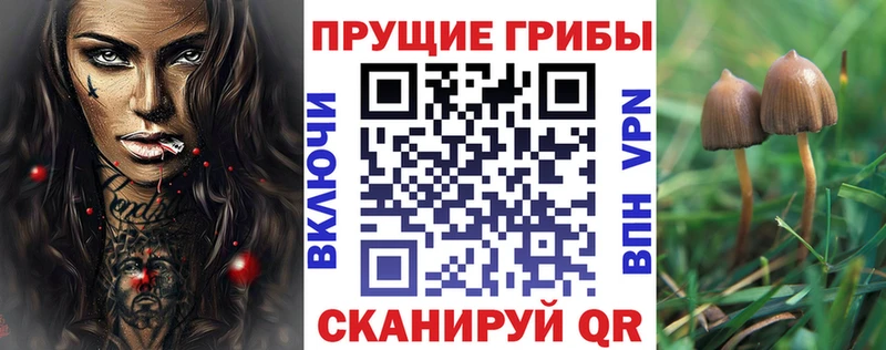 Псилоцибиновые грибы мицелий  Орлов 